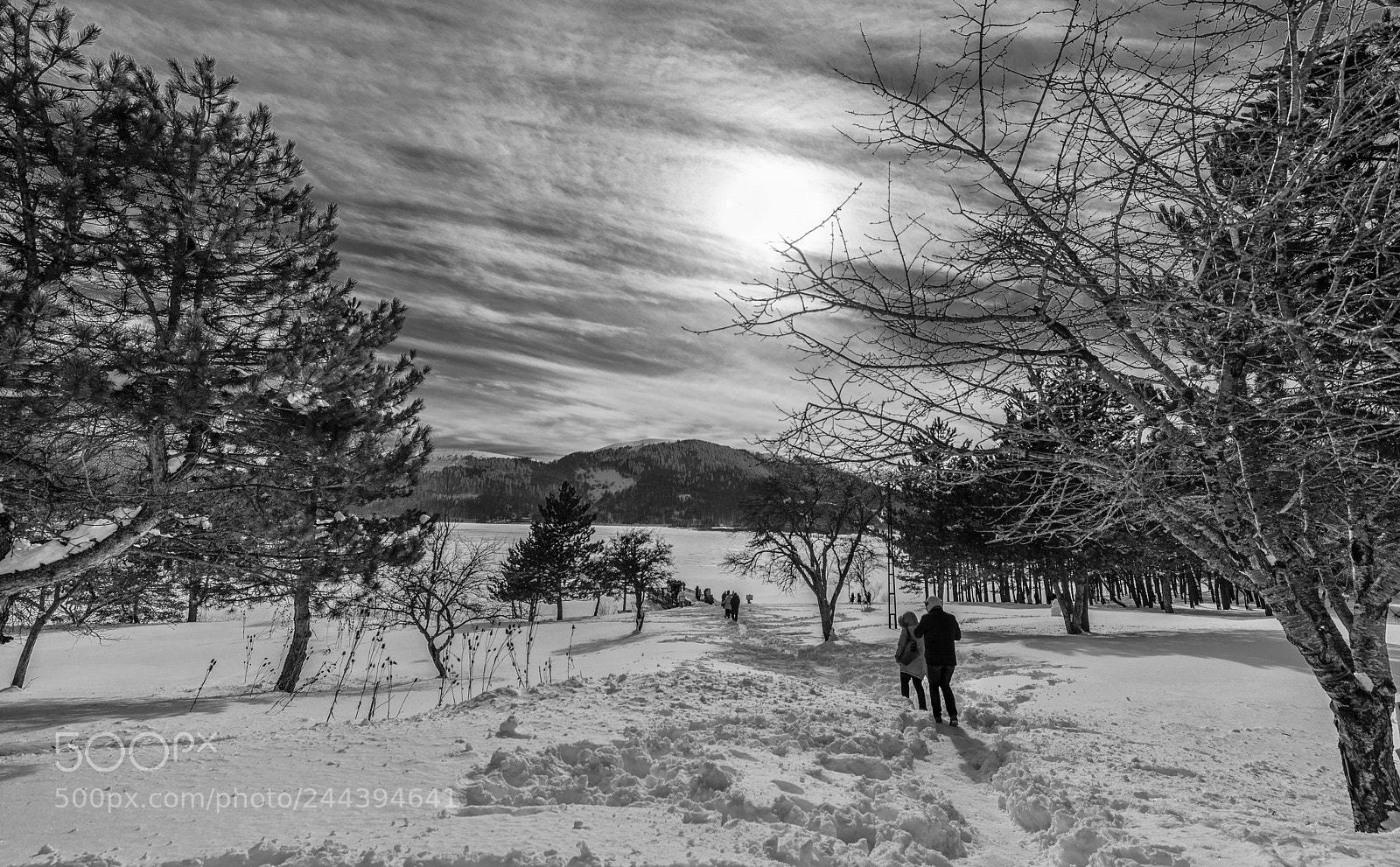 Nikon D800E sample photo. Abant lake in february .. photography
