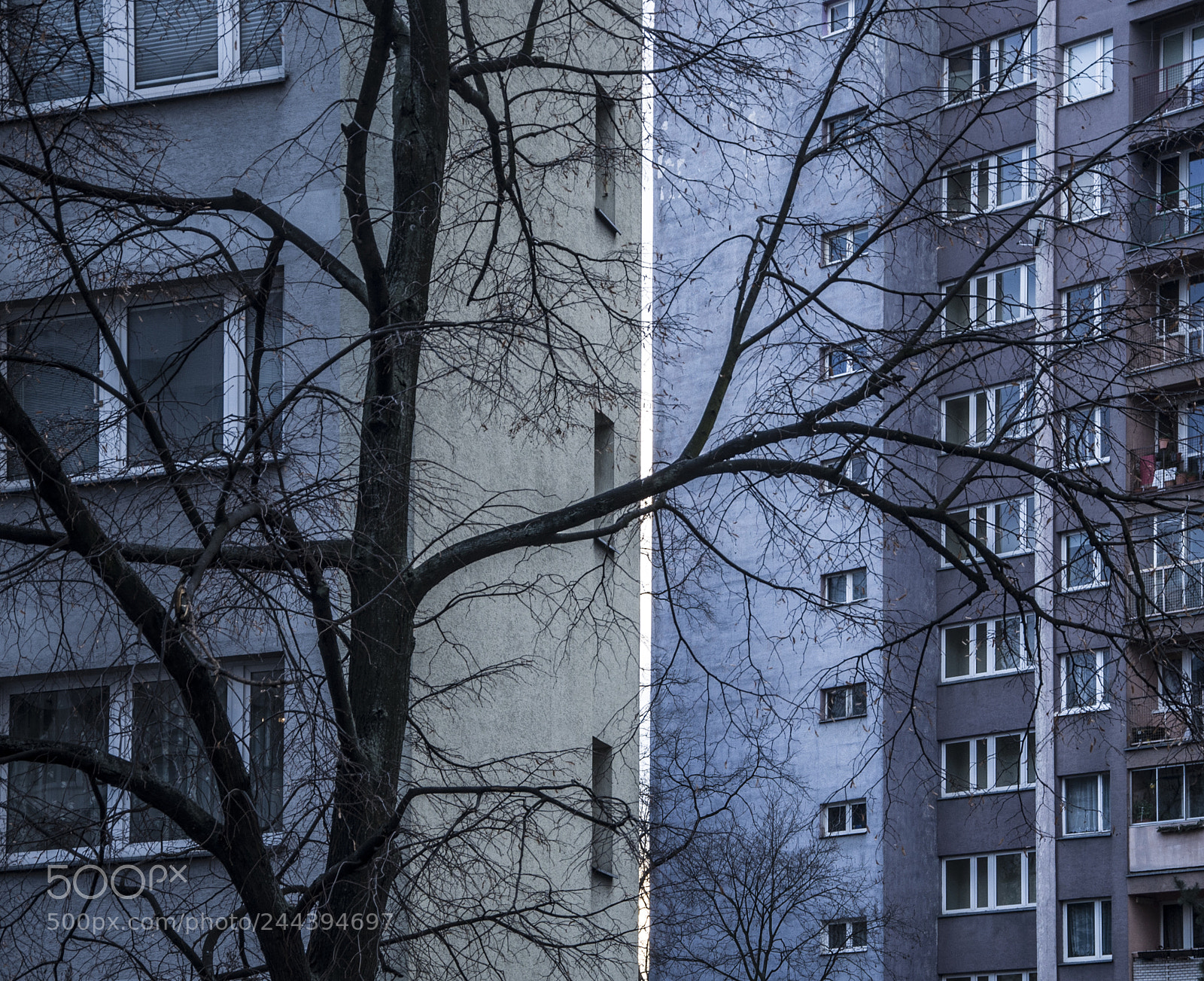 Nikon D90 sample photo. Warszawa photography