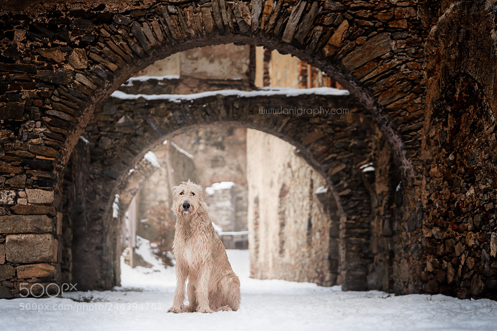 Sony a7R III sample photo. Isidor photography
