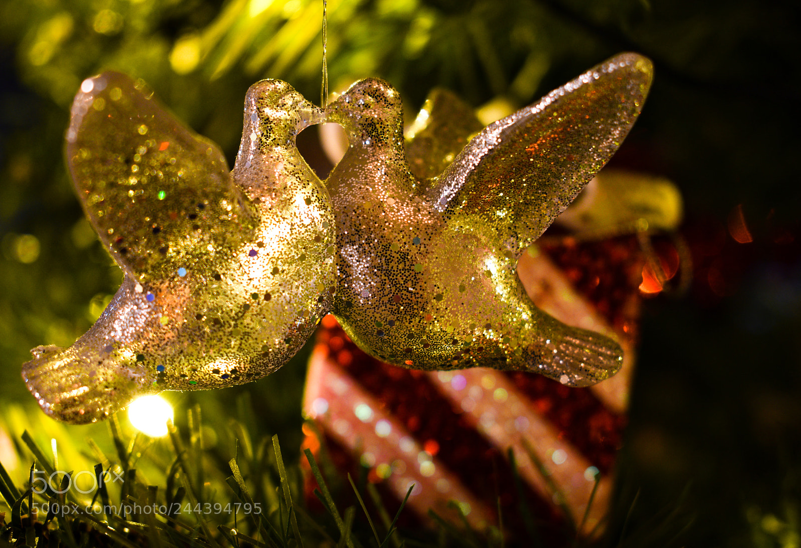 Nikon D5600 sample photo. Christmas decoration photography