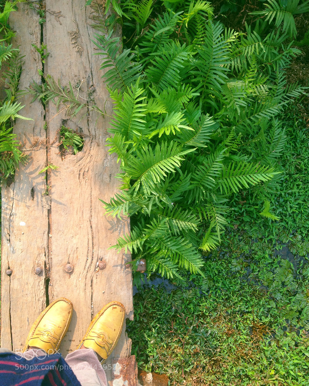 Apple iPhone 4S sample photo. Untitled photography