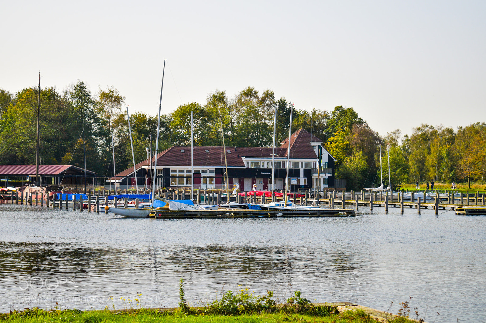 Nikon D5600 sample photo. Mkk photography