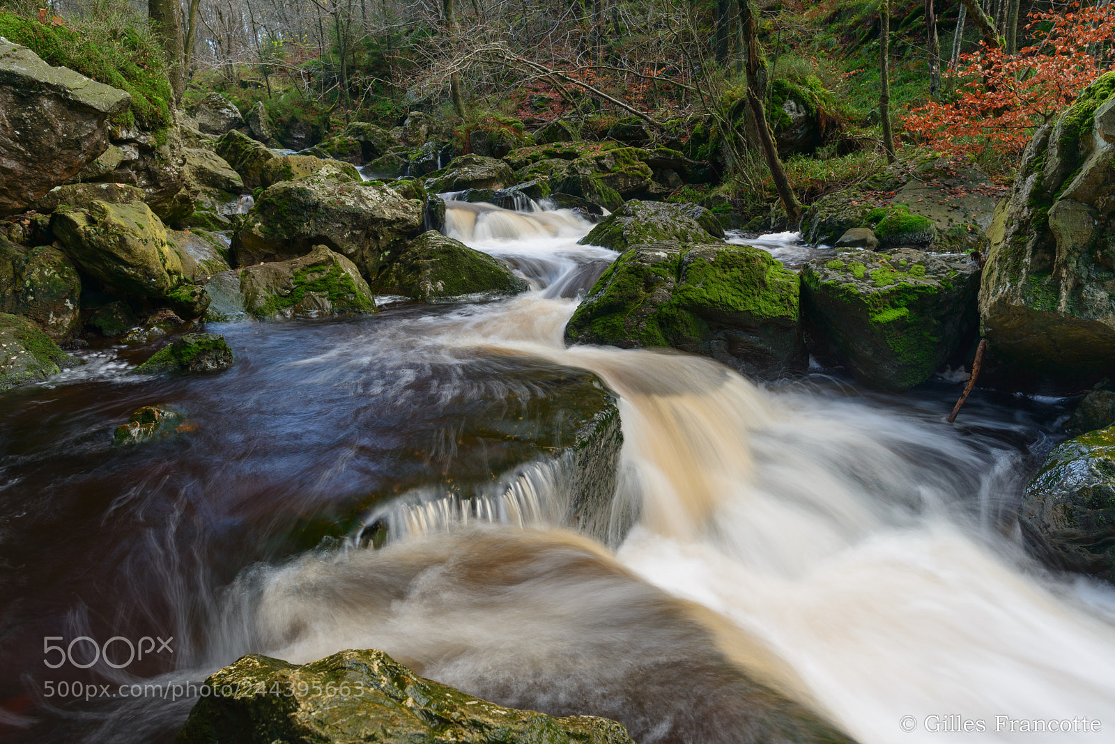 Nikon D800 sample photo. Hoëgne river photography