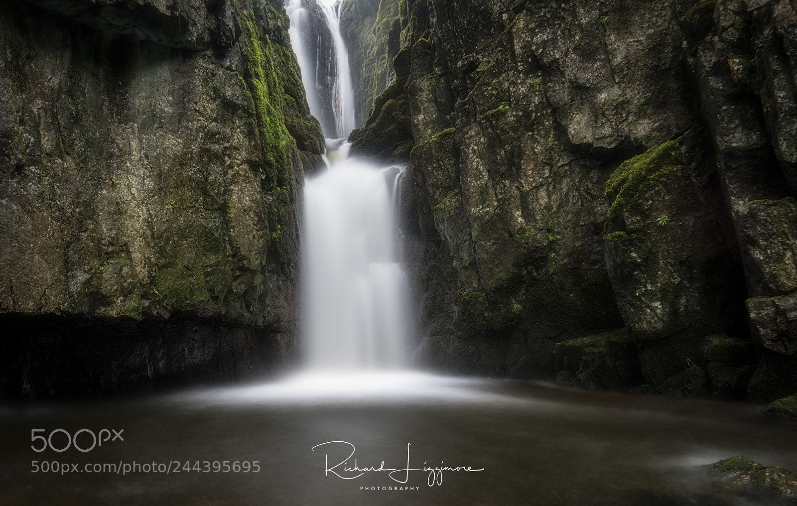 Nikon D810 sample photo. Catrigg force photography