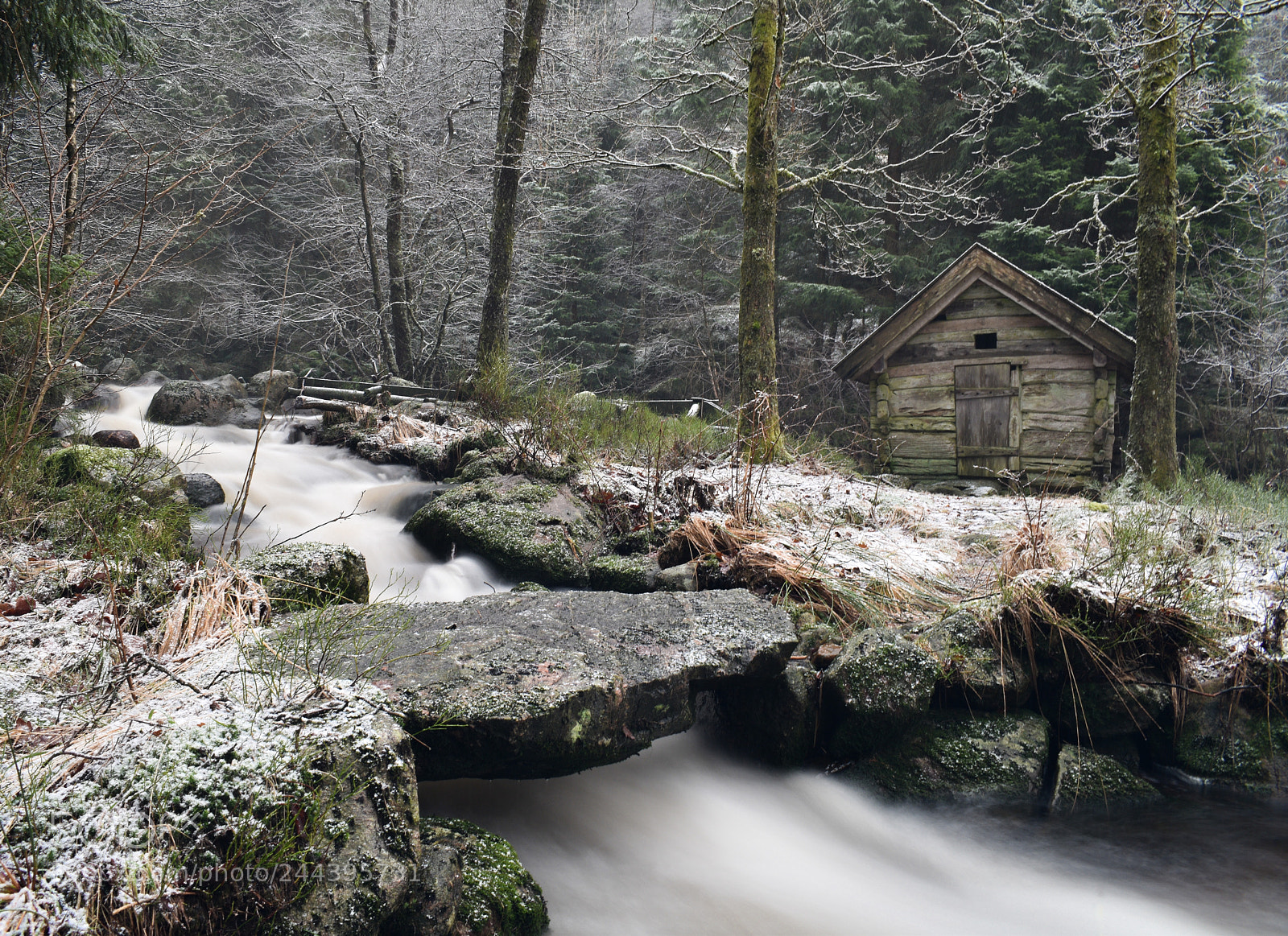 Nikon D5600 sample photo. Old mill in the photography