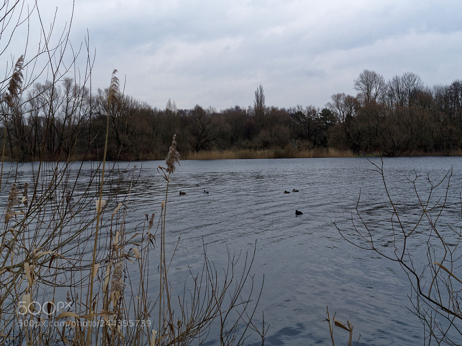 Olympus OM-D E-M5 sample photo. Braunschweig, südsee photography