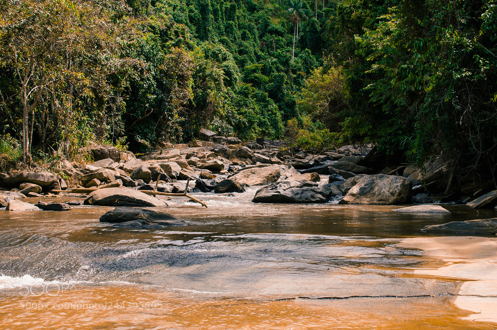 Nikon D300 sample photo. Elw photography