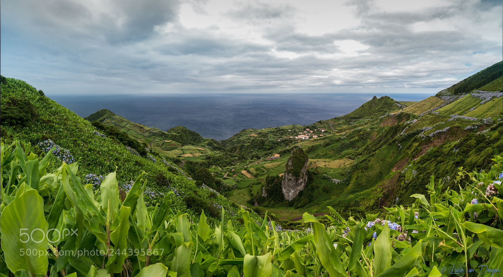 Nikon D610 sample photo. Flores panorama photography