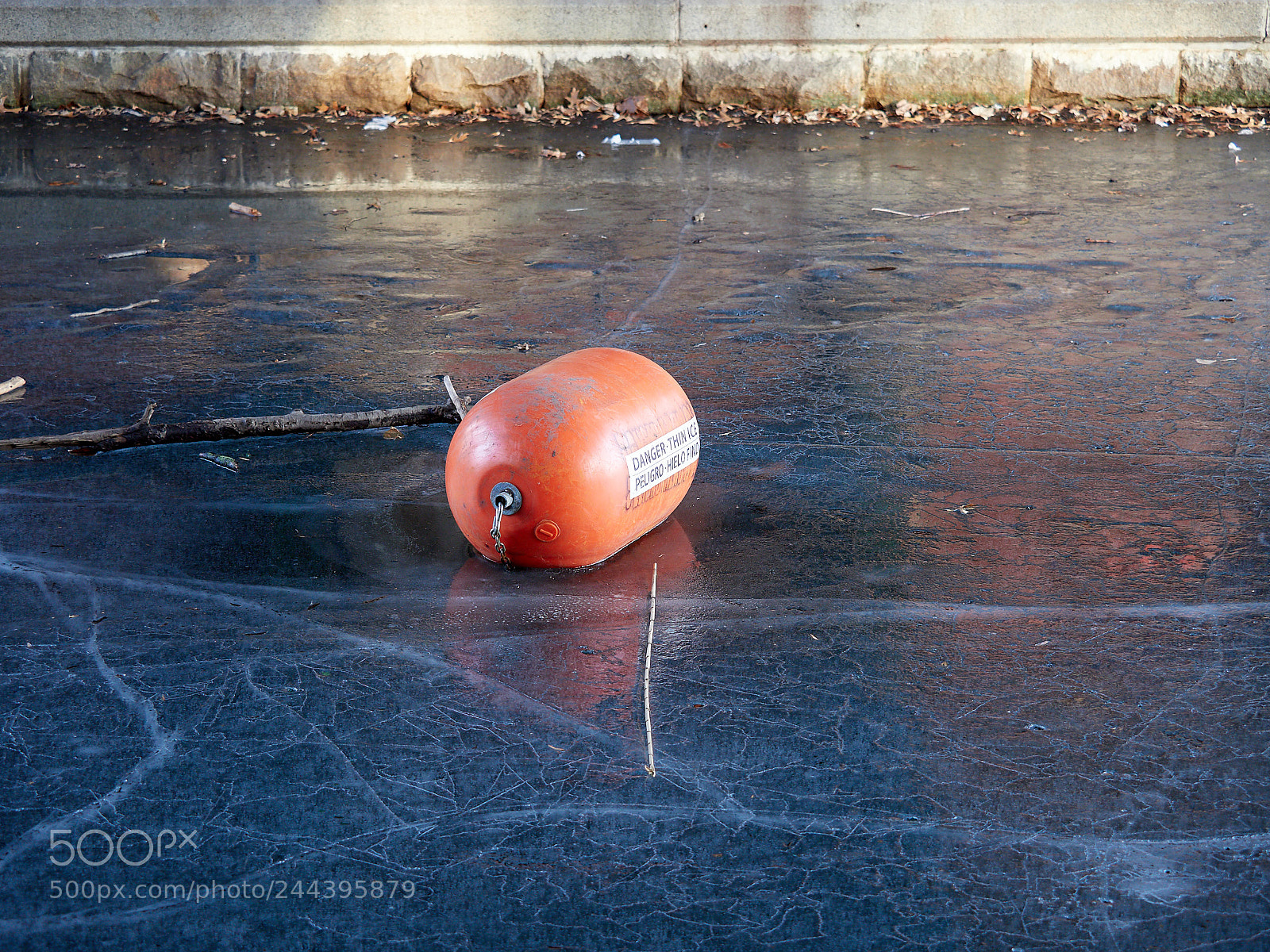 Olympus OM-D E-M1 Mark II sample photo. Thin ice photography