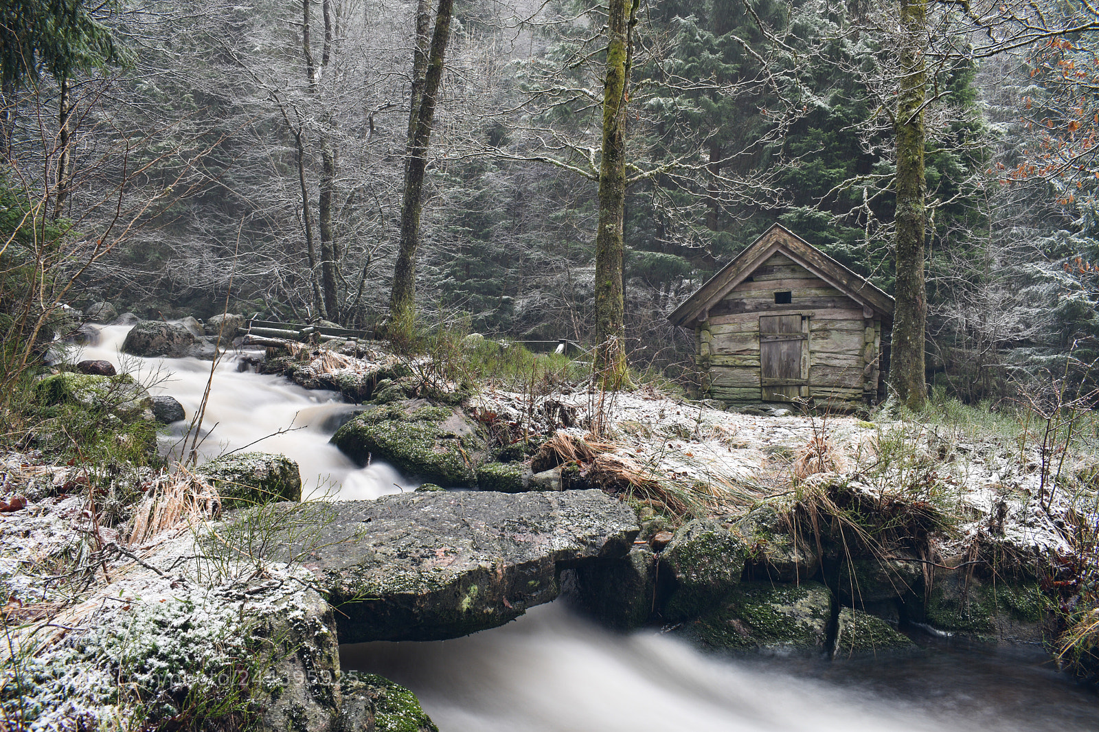 Nikon D5600 sample photo. Old mill in the photography