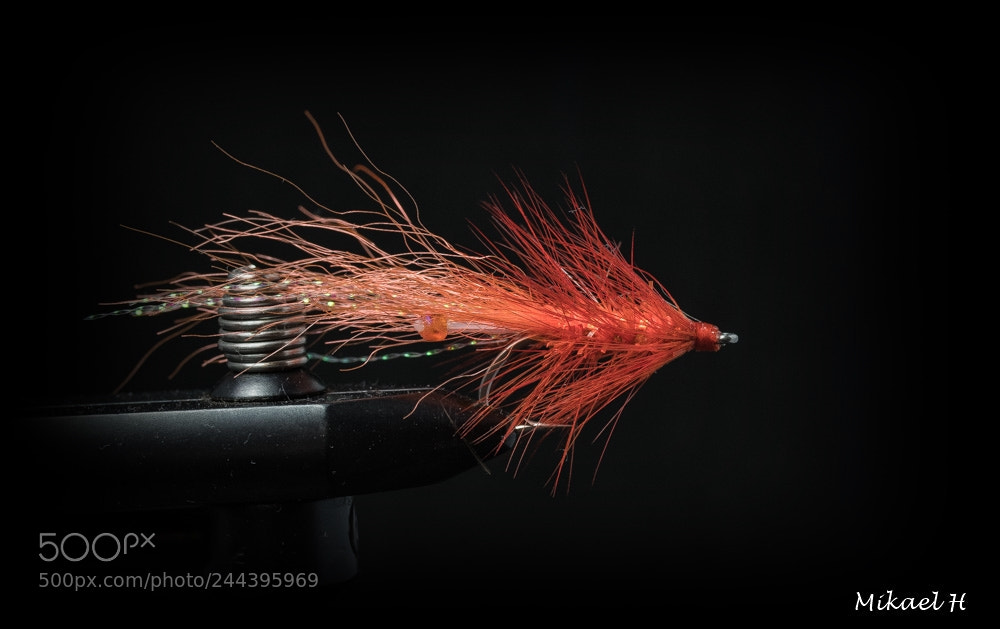 Pentax K-S2 sample photo. Flies i have tied photography