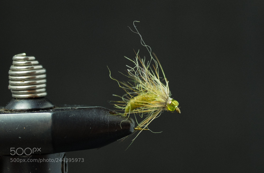 Pentax K-S2 sample photo. Flies i have tied photography