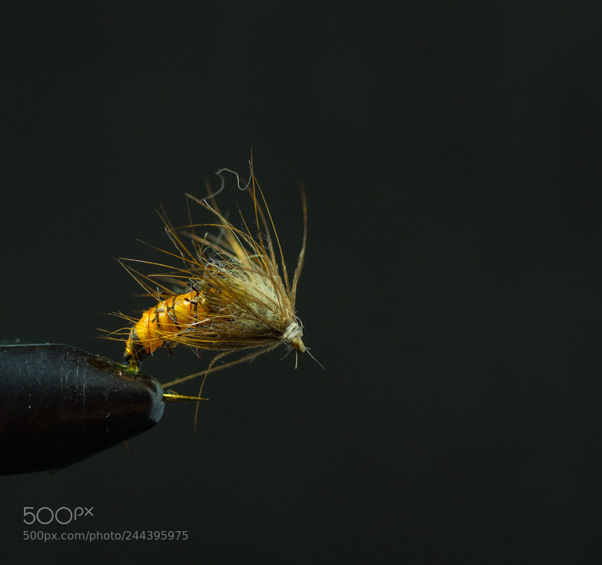Pentax K-S2 sample photo. Flies i have tied photography