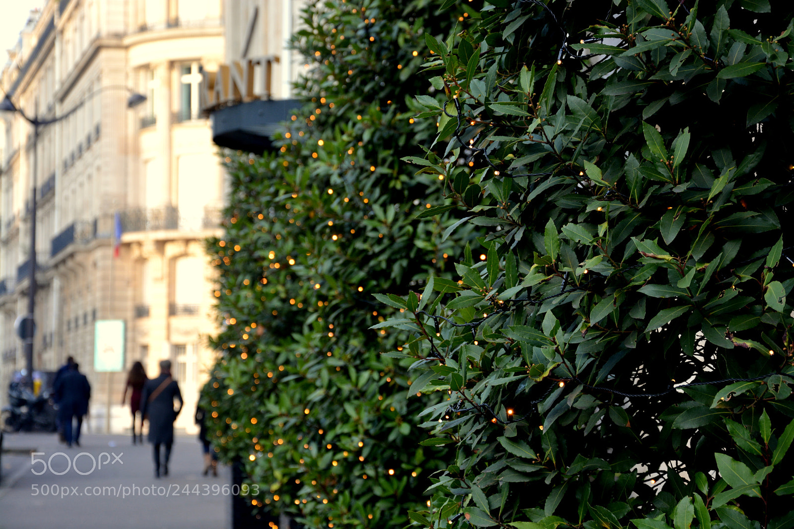 Nikon D7100 sample photo. Christmas decorations in paris photography