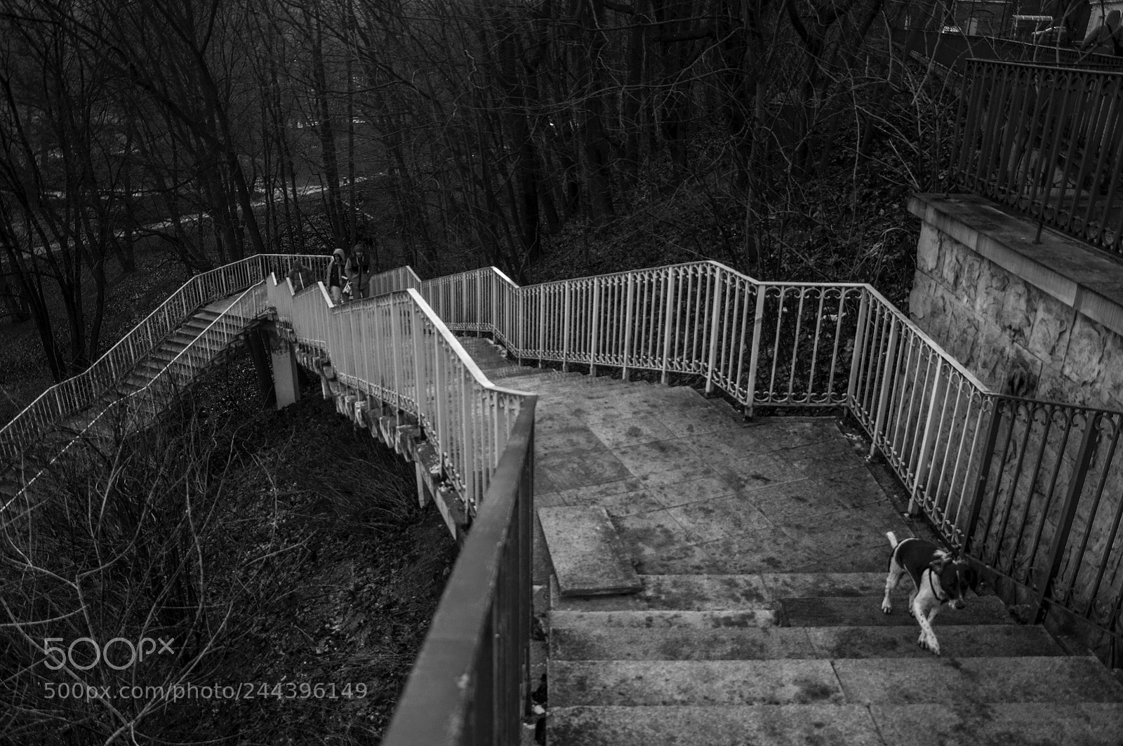 Nikon D90 sample photo. Warszawa photography