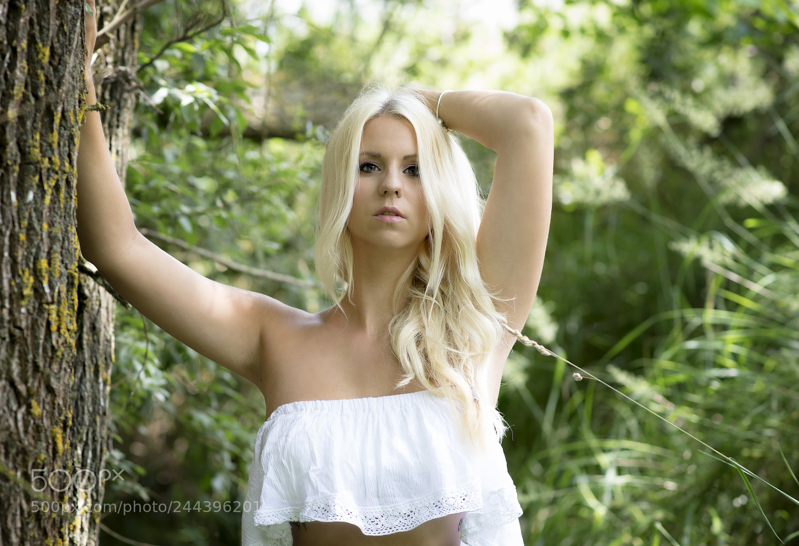 Nikon D610 sample photo. Wilderness photography