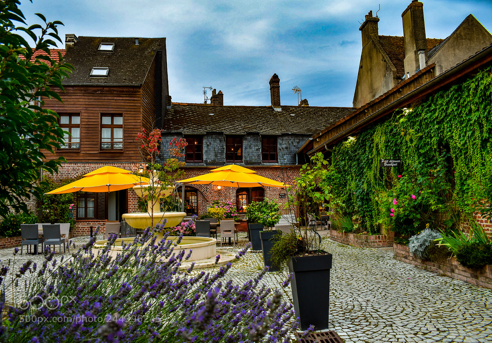 Nikon D5600 sample photo. Backyard in france photography