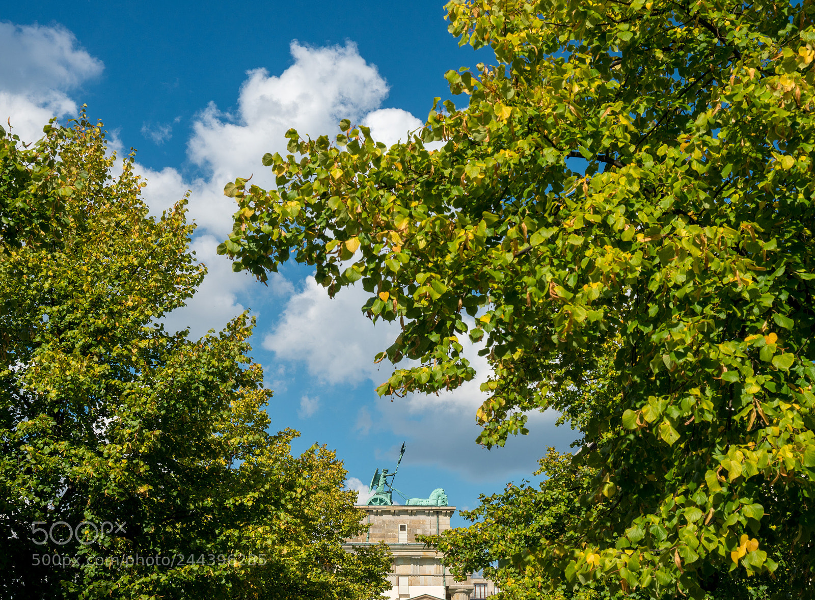 Sony a7R II sample photo. Leaves surround brandenburg gate photography