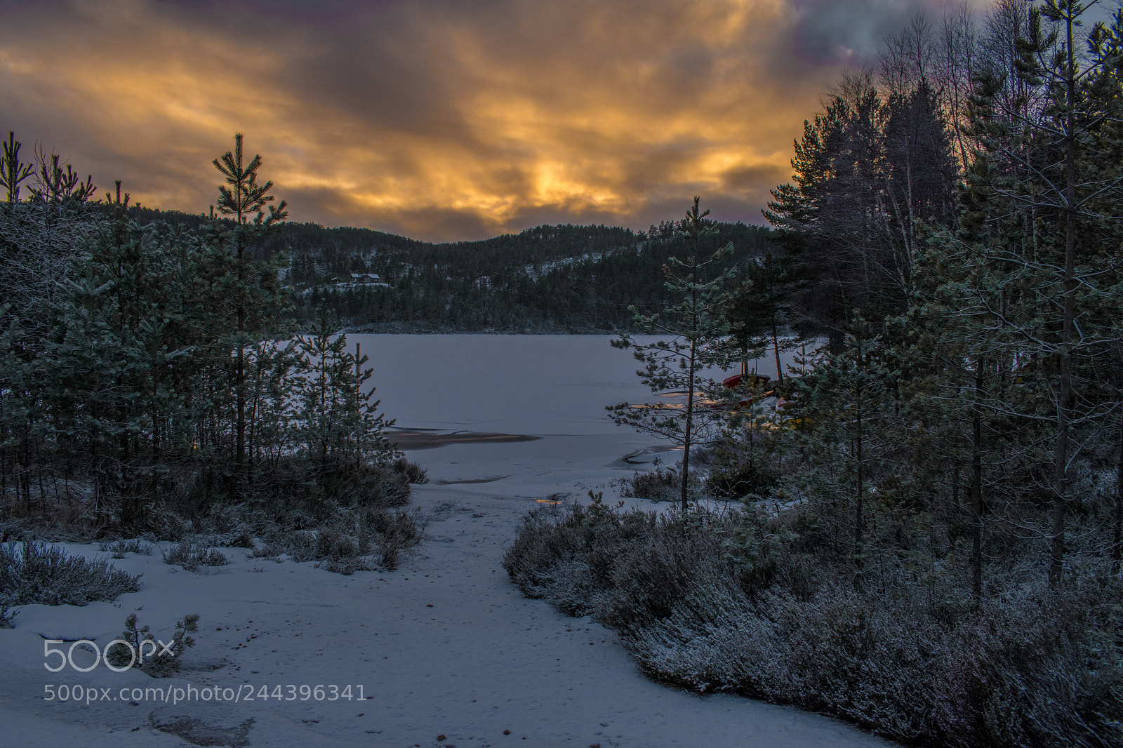 Nikon D5600 sample photo. Sunset in norway photography