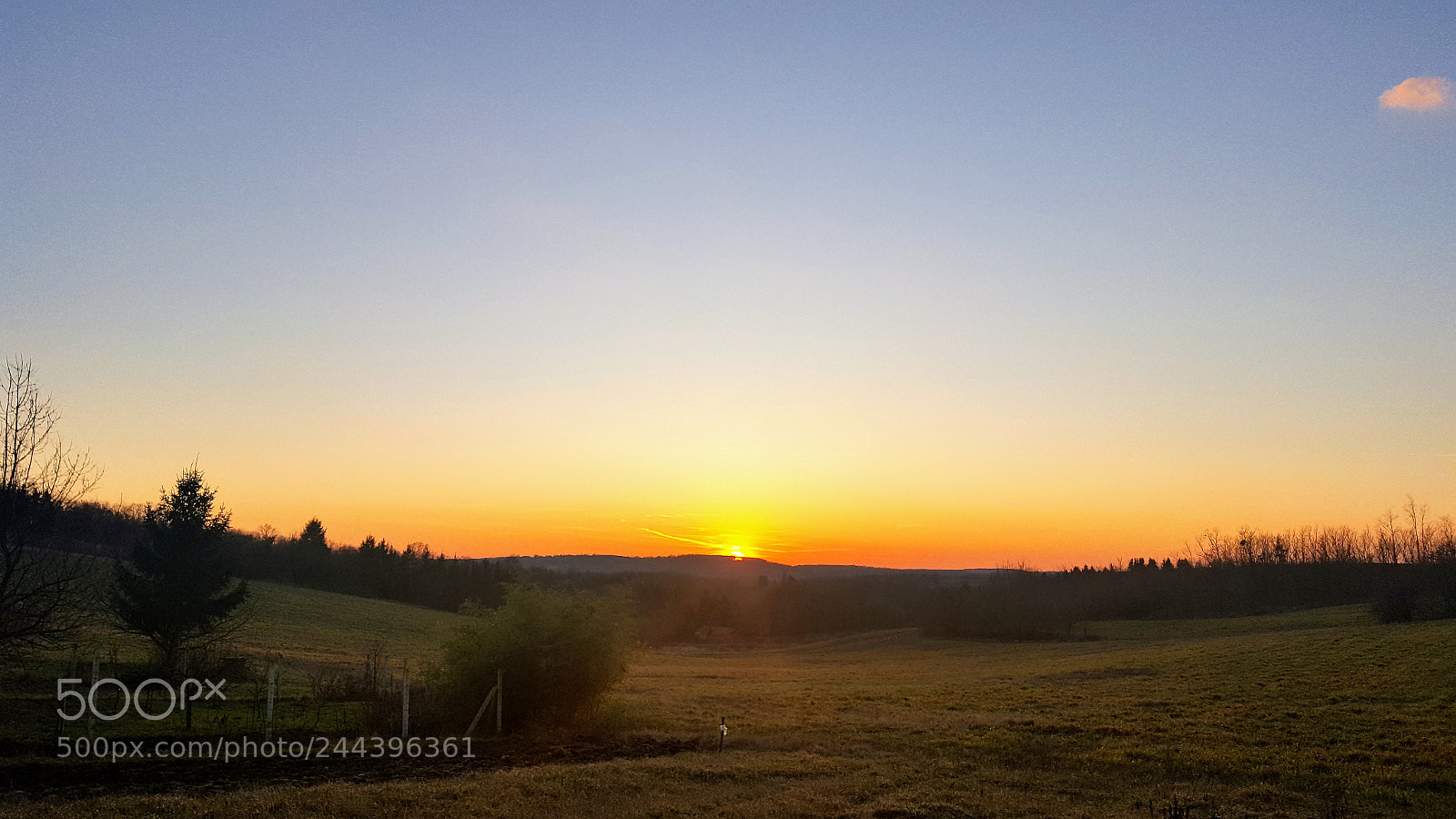 Samsung GALAXY S6 edge sample photo. Untitled photography