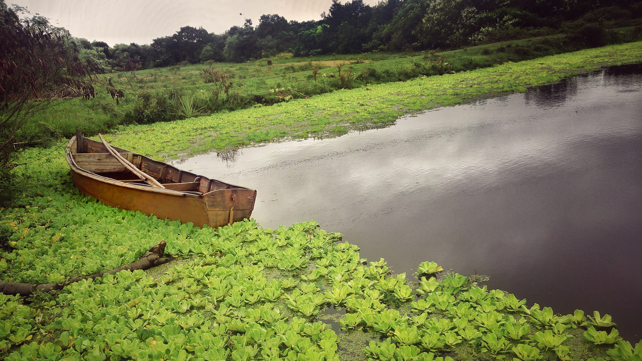 LG G3 Stylus sample photo. Barco abandonado photography