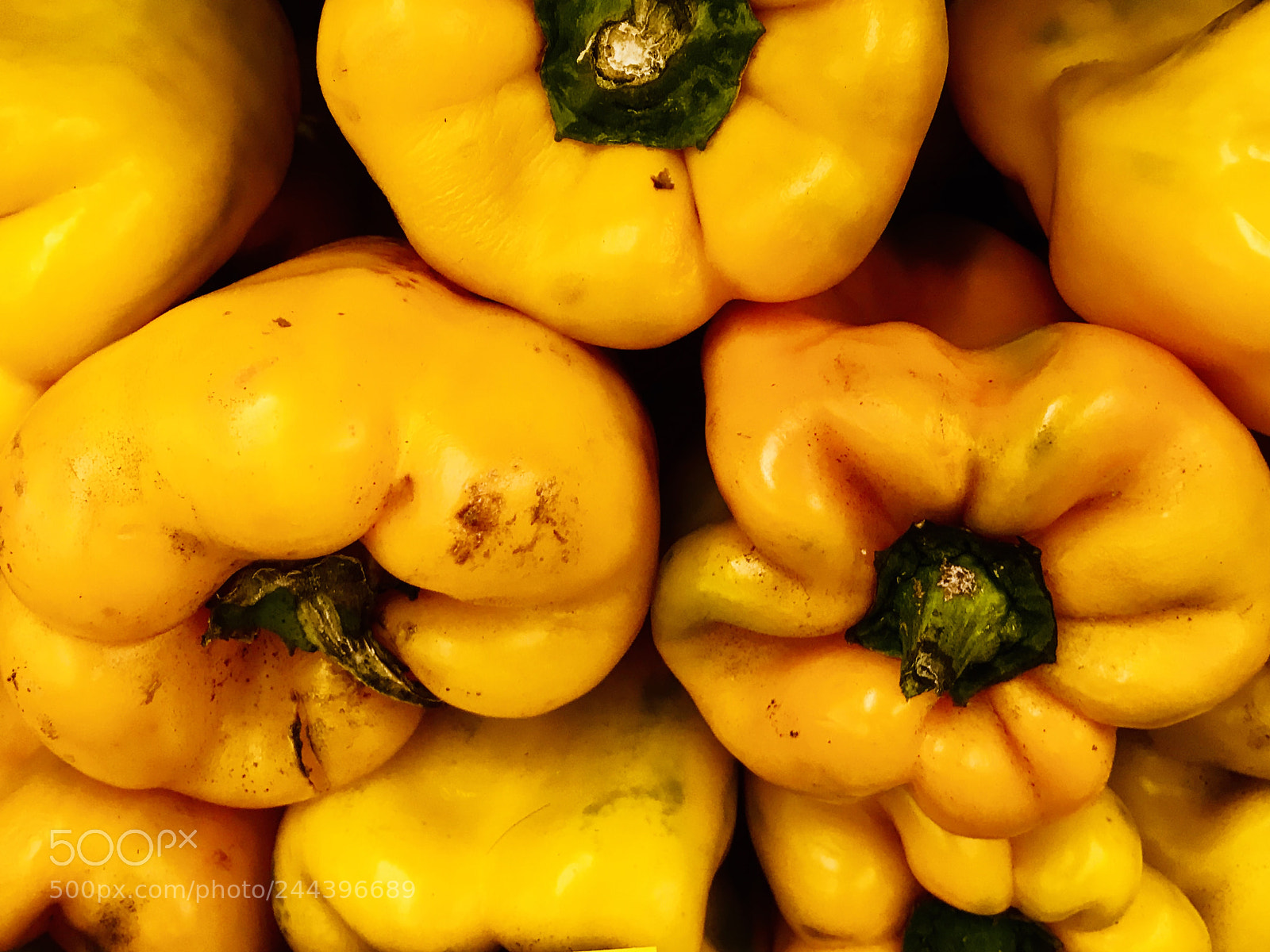 Apple iPhone 7 Plus sample photo. Yellow photography