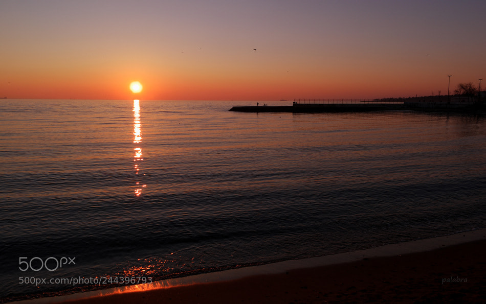 Samsung NX1 sample photo. ... photography