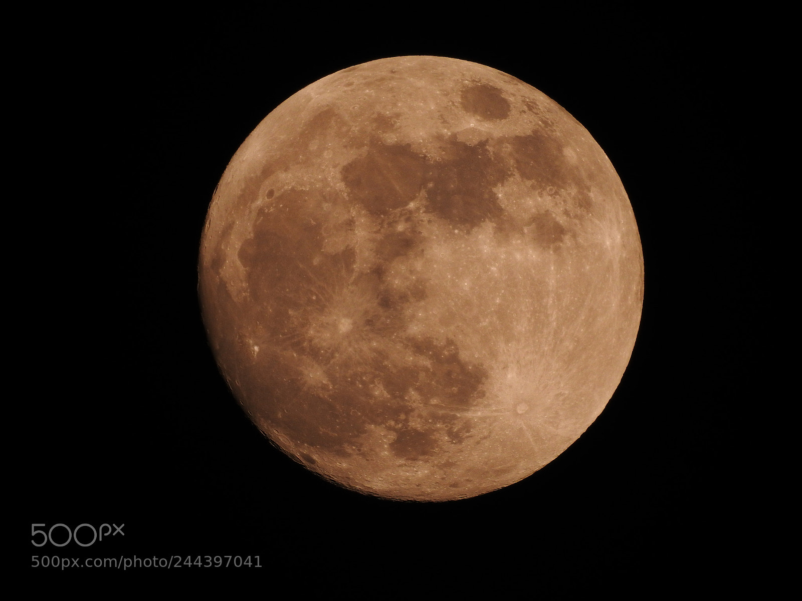 Nikon Coolpix P900 sample photo. La luna photography