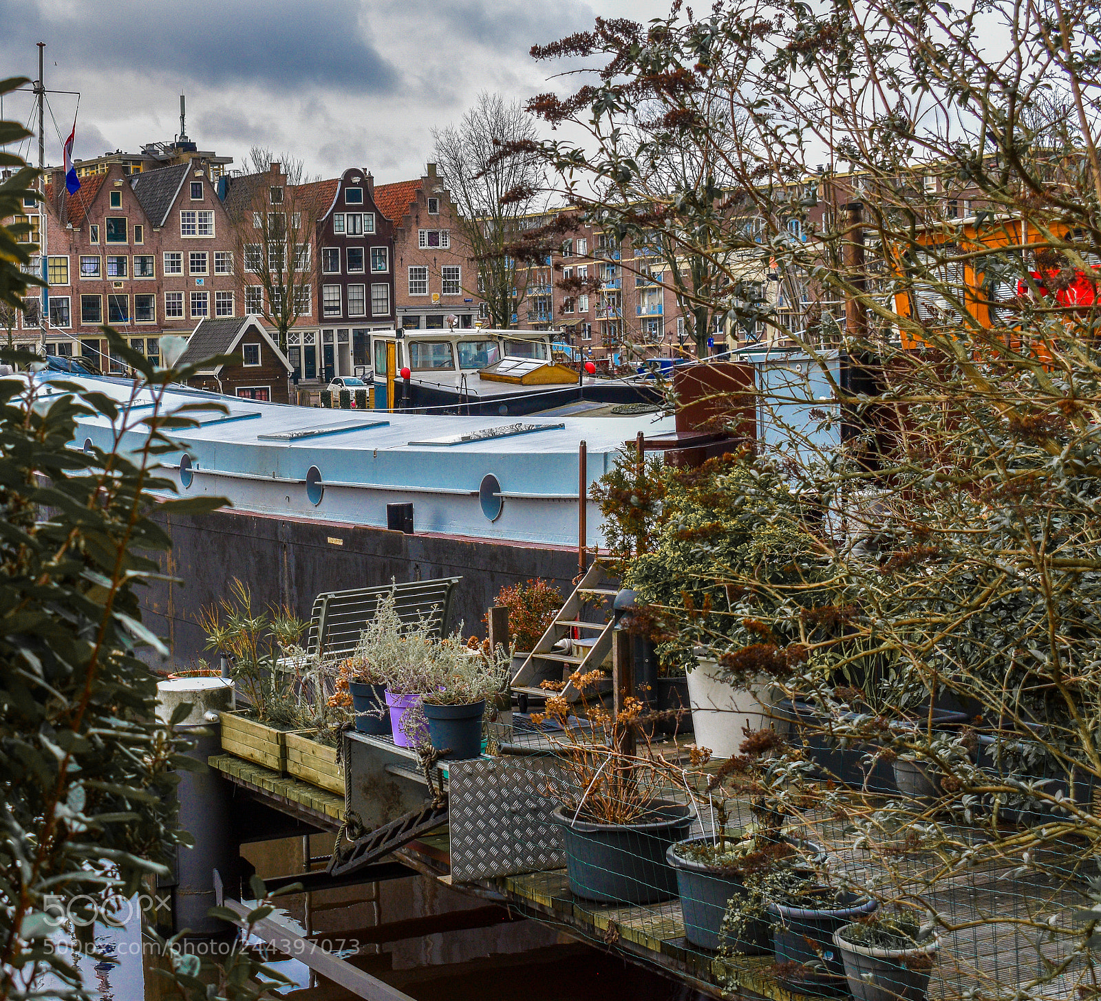 Nikon D5600 sample photo. Amsterdam marina photography