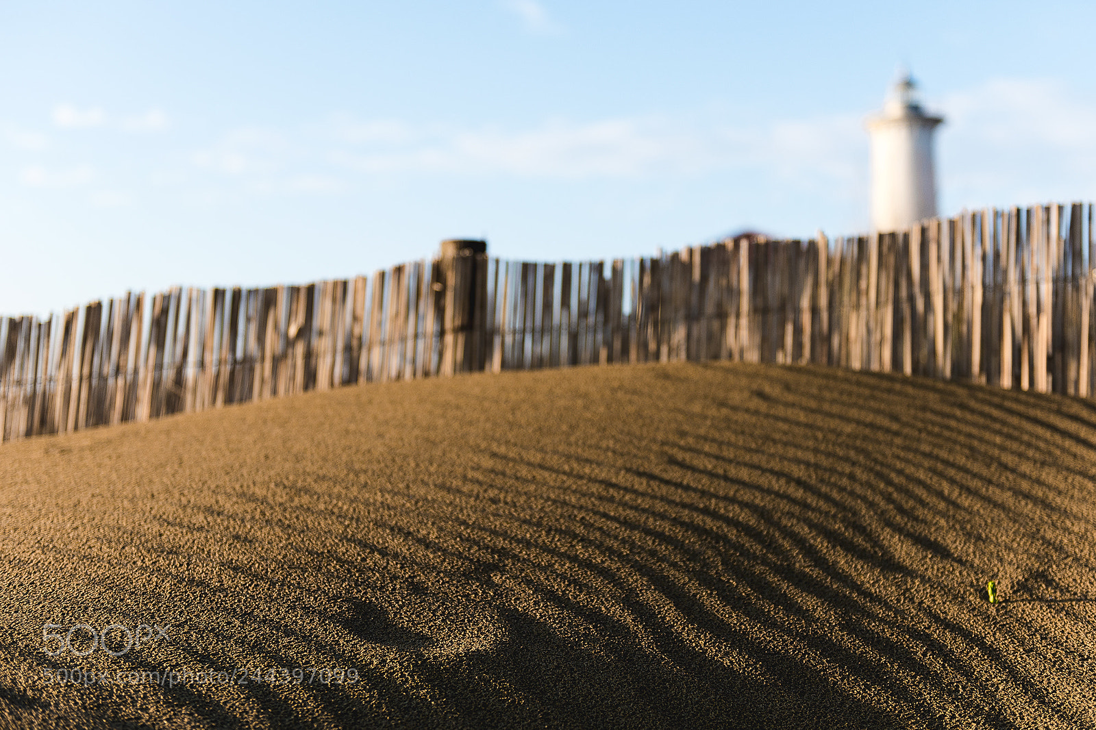 Nikon D810 sample photo. Sand wave photography