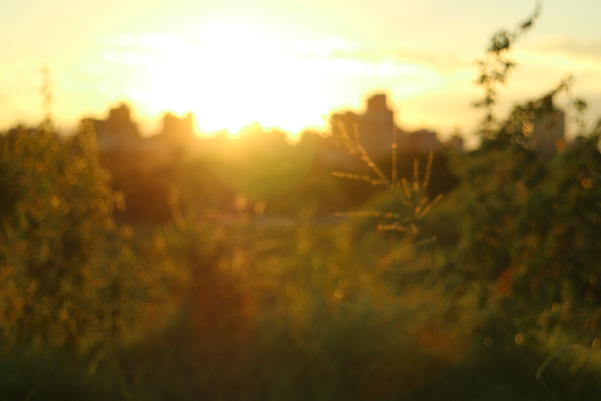 Canon EOS M3 sample photo. Atardeciendo photography