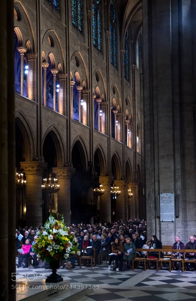 Nikon D7200 sample photo. Notre dame de paris photography