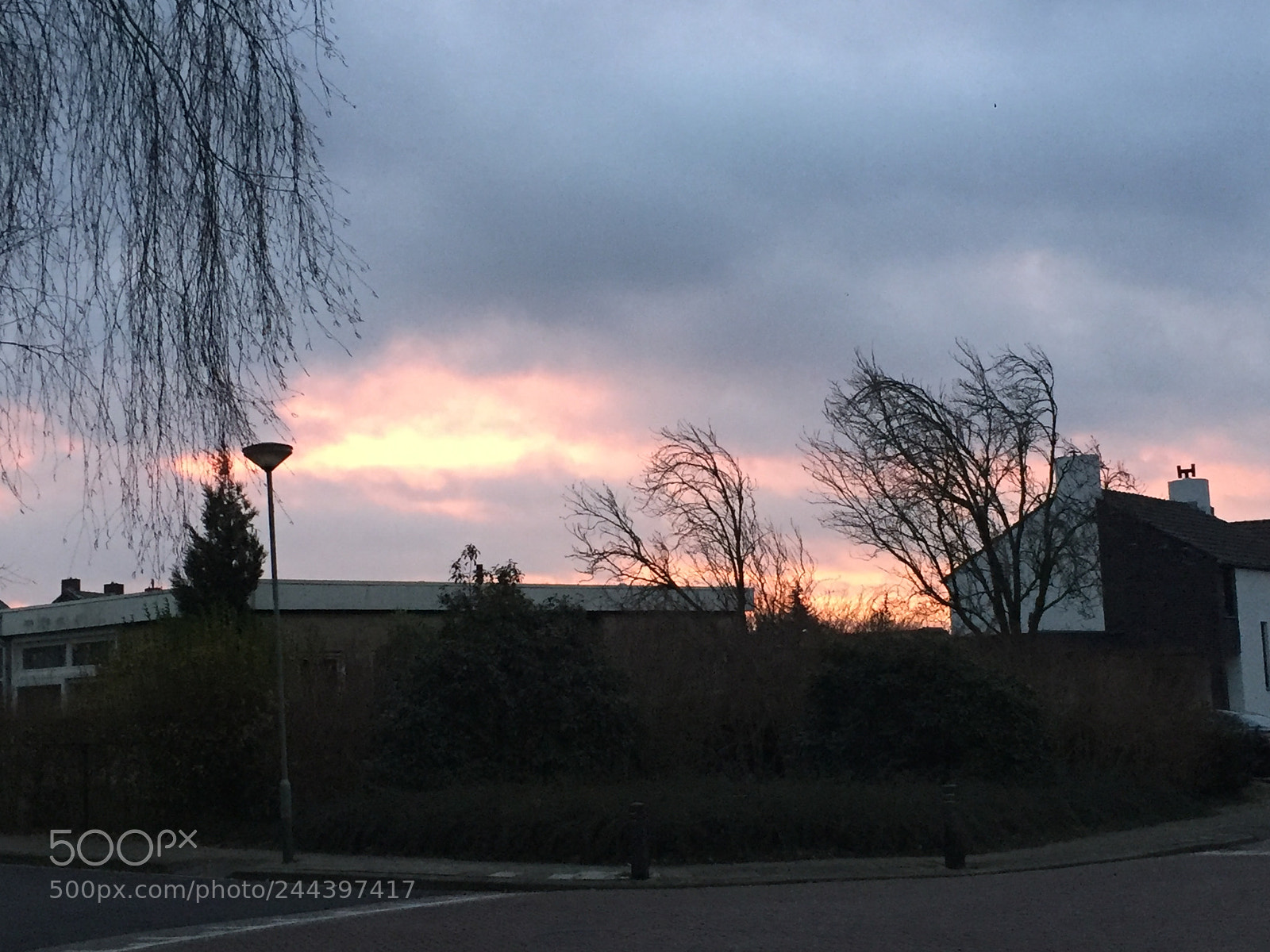 Apple iPhone 6 sample photo. The sky after rain ? photography