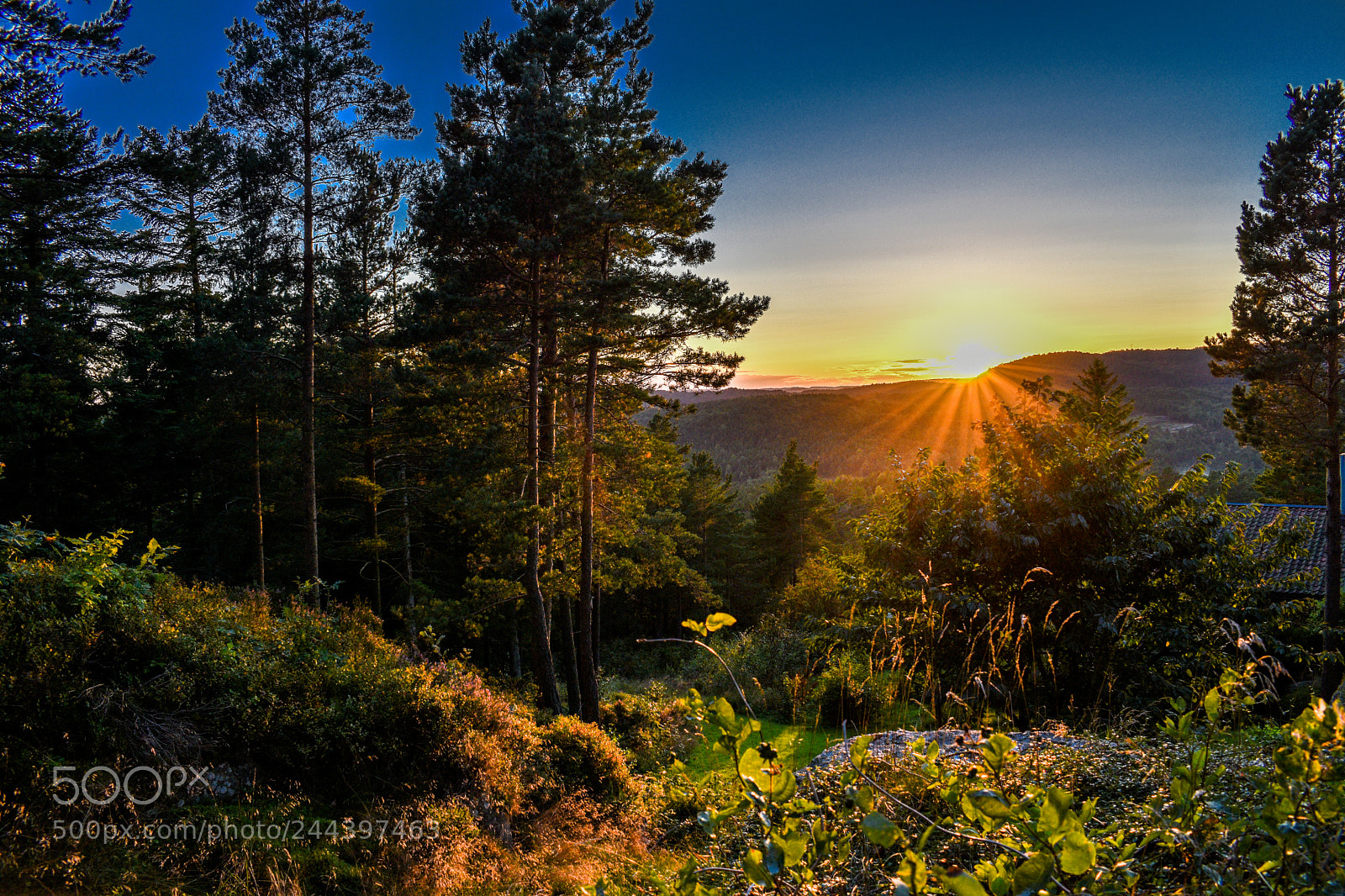 Nikon D5600 sample photo. Sunset in norway photography