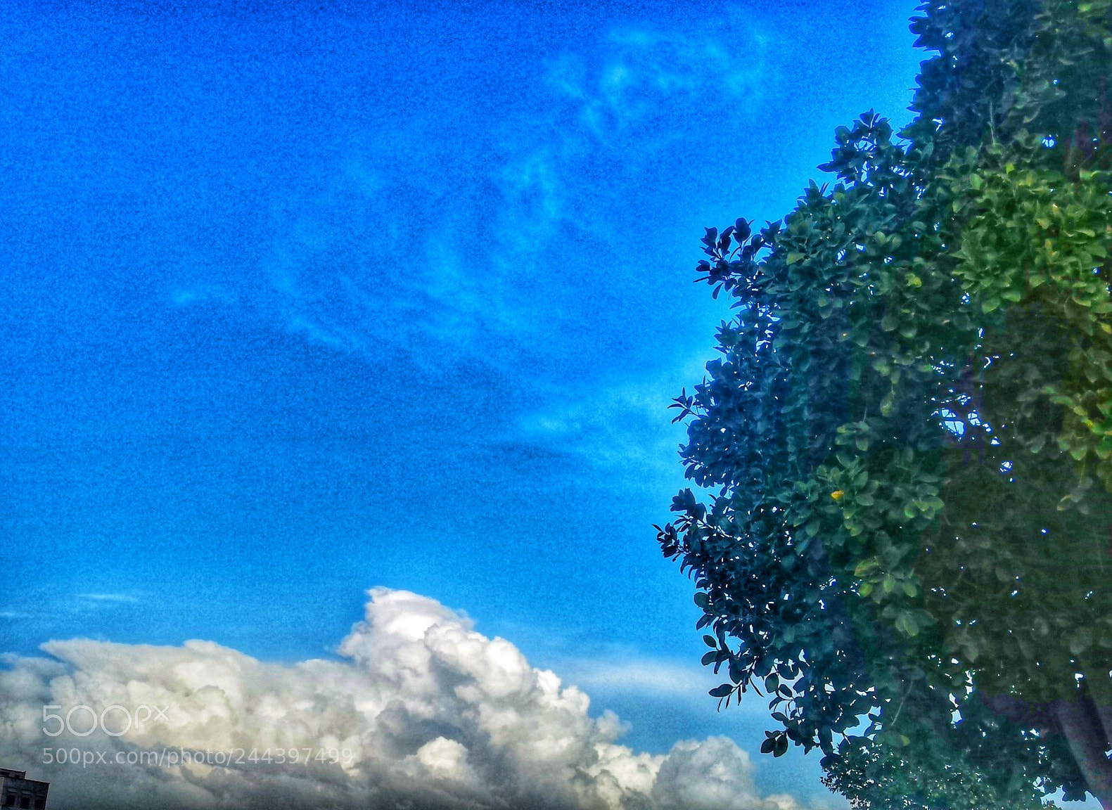 Samsung Galaxy S4 sample photo. Clouds ☁☁??????☁☁ photography