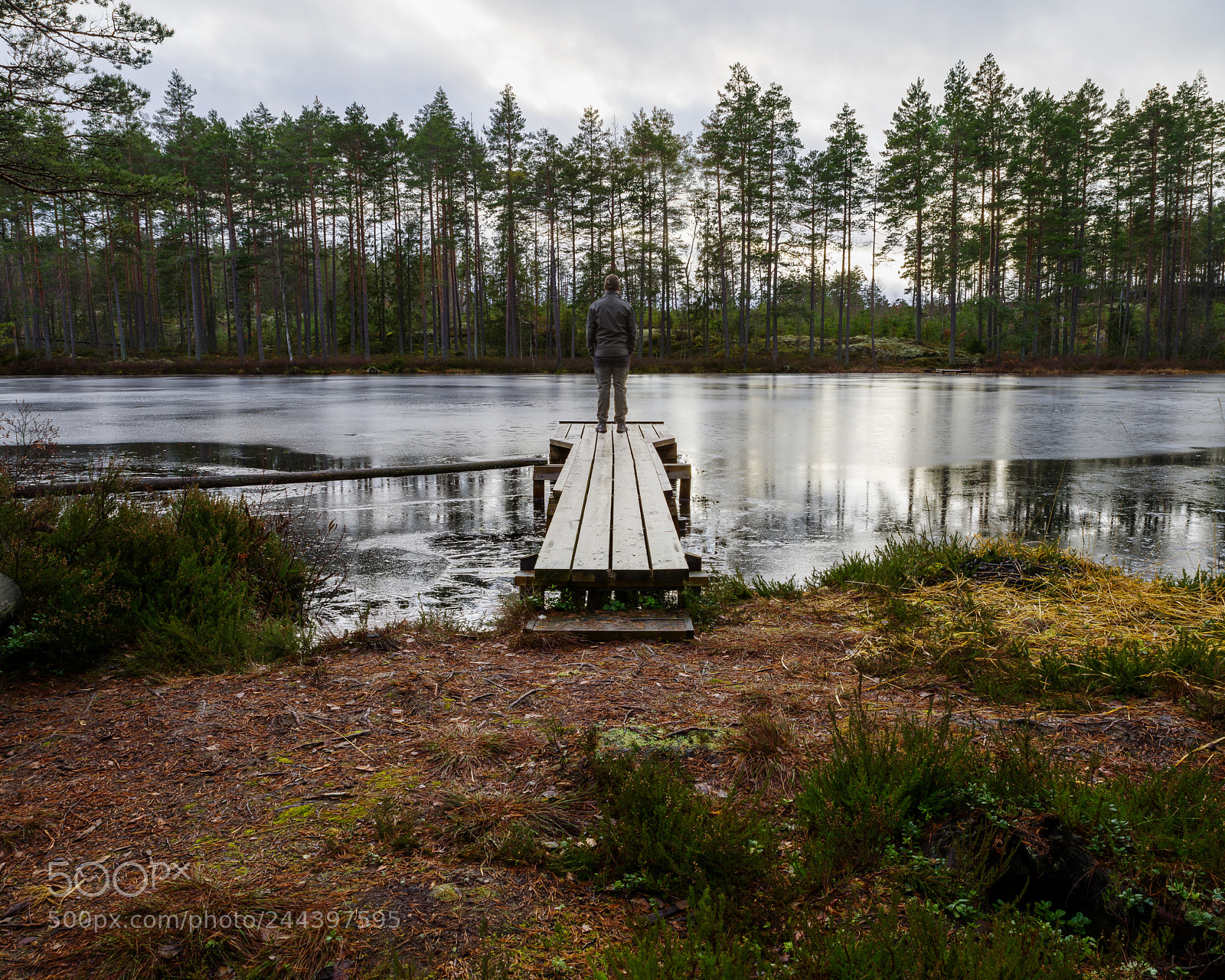 Pentax K-1 sample photo. Overlooking the lake photography