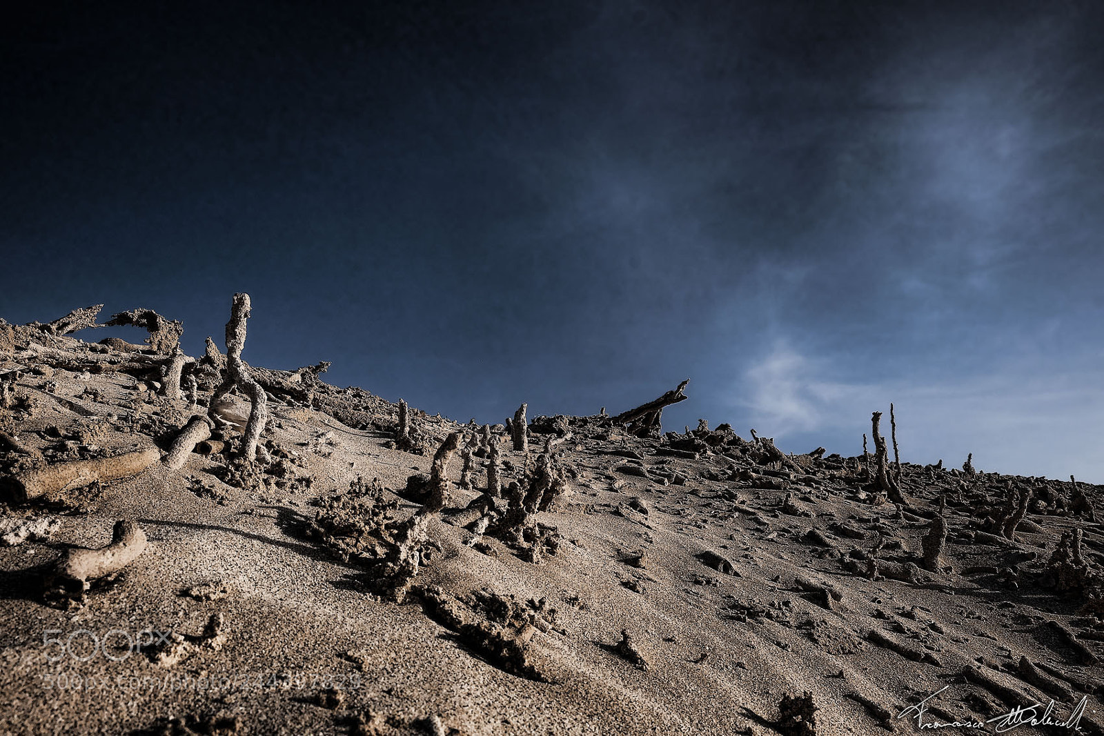 Fujifilm X-E2 sample photo. The corals dune photography