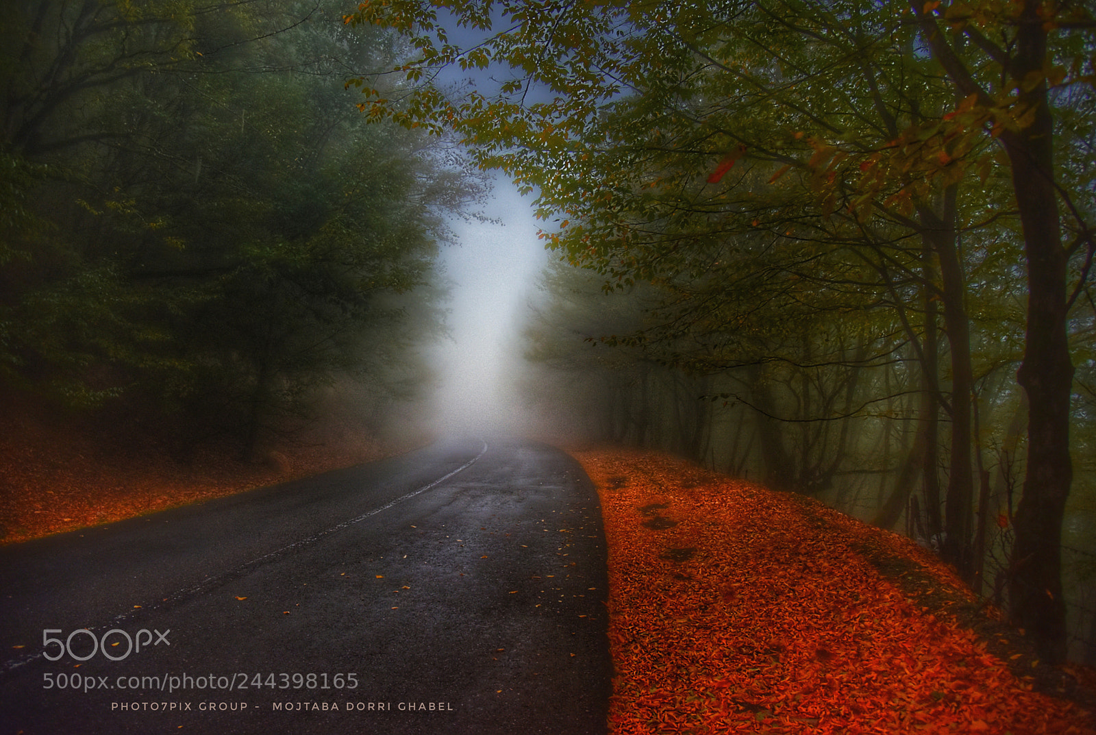 Nikon D810 sample photo. Eden road photography