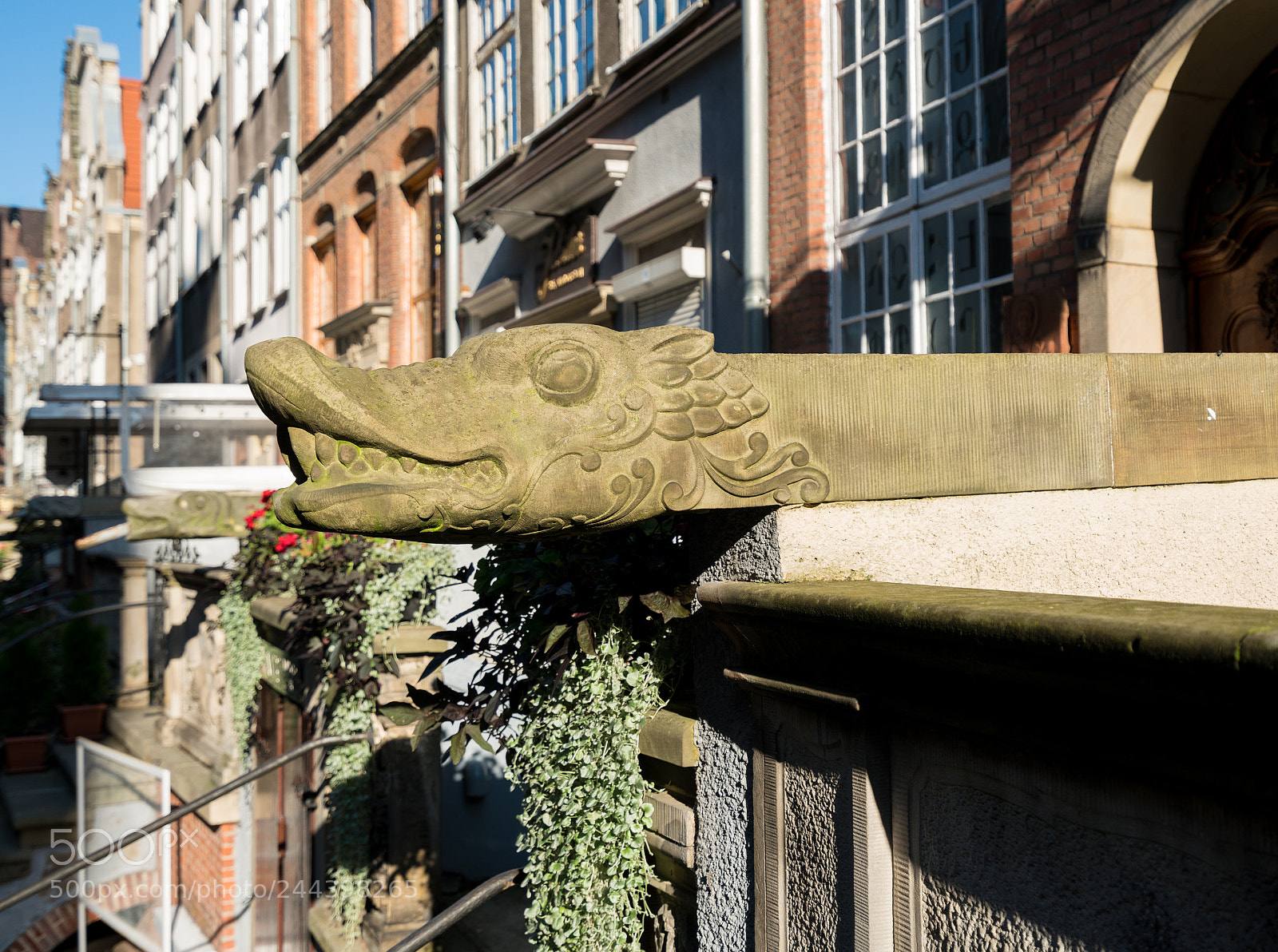 Sony a7R II sample photo. Carved waterspout of old photography