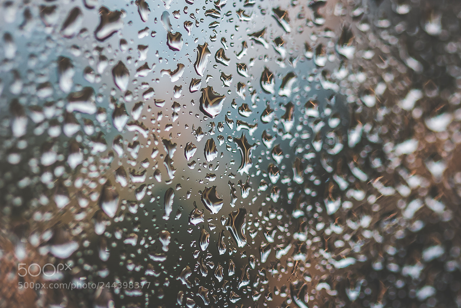 Canon EOS 60D sample photo. Toomanydrops photography