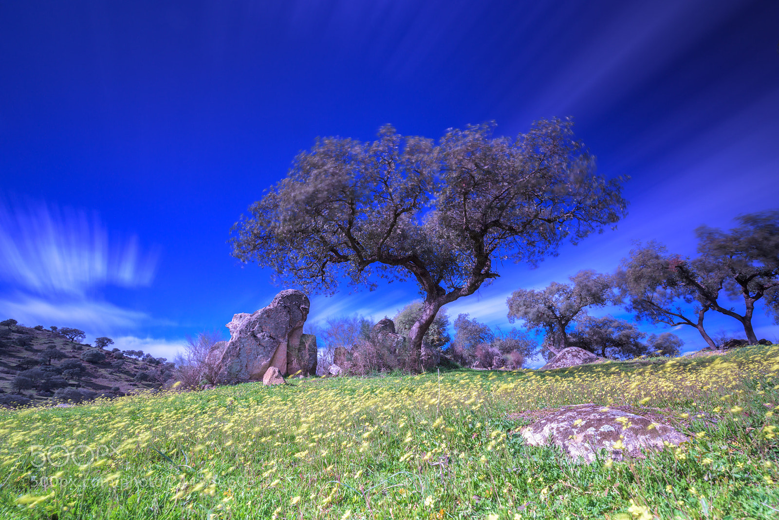 Nikon D810 sample photo. Dia ventoso photography