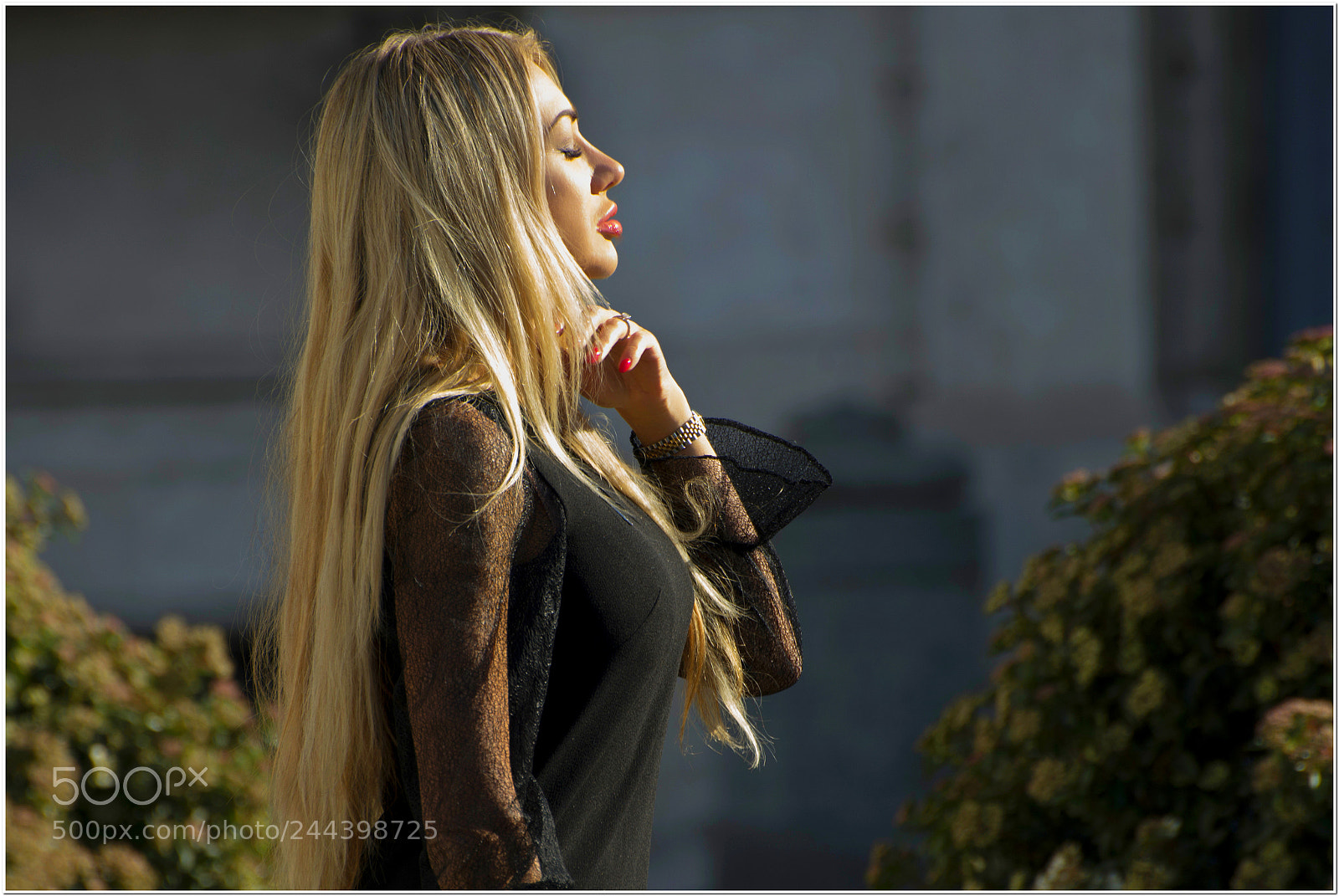 Nikon D800 sample photo. Kissed by the sun photography