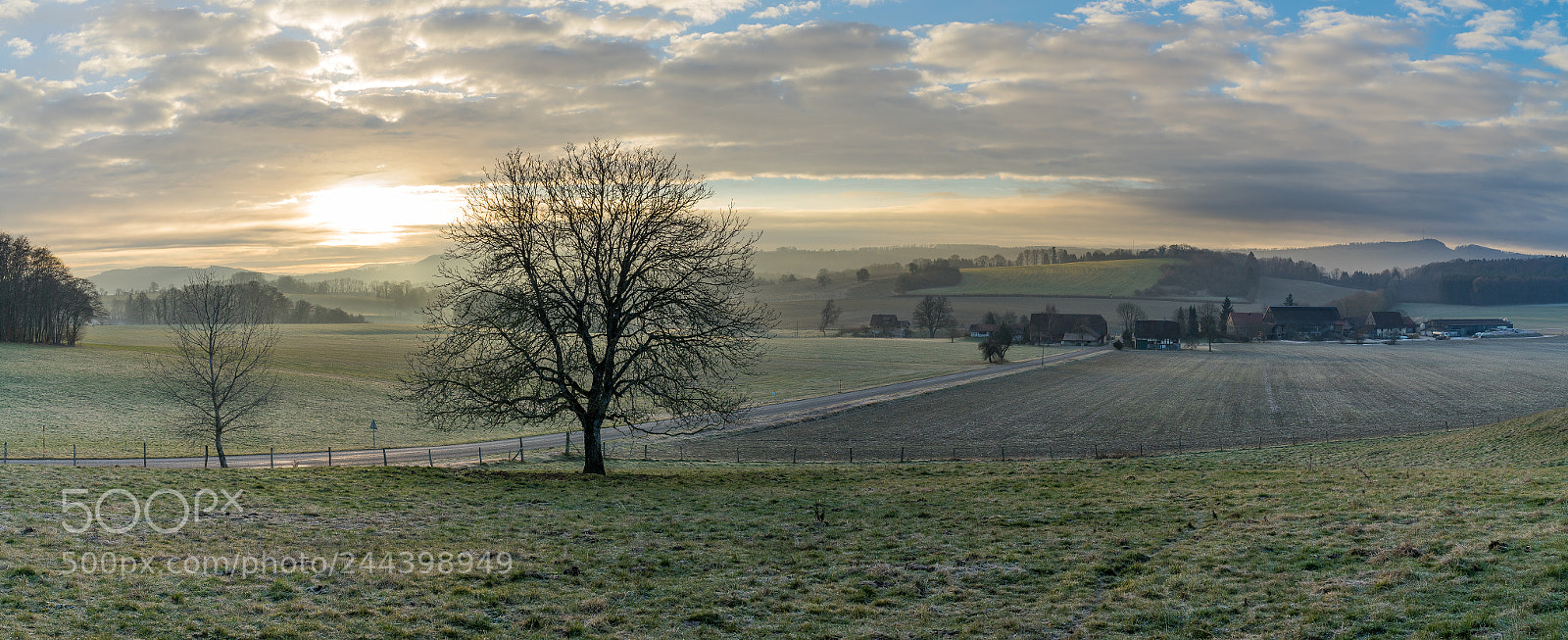 Sony a7R sample photo. Untitled photography