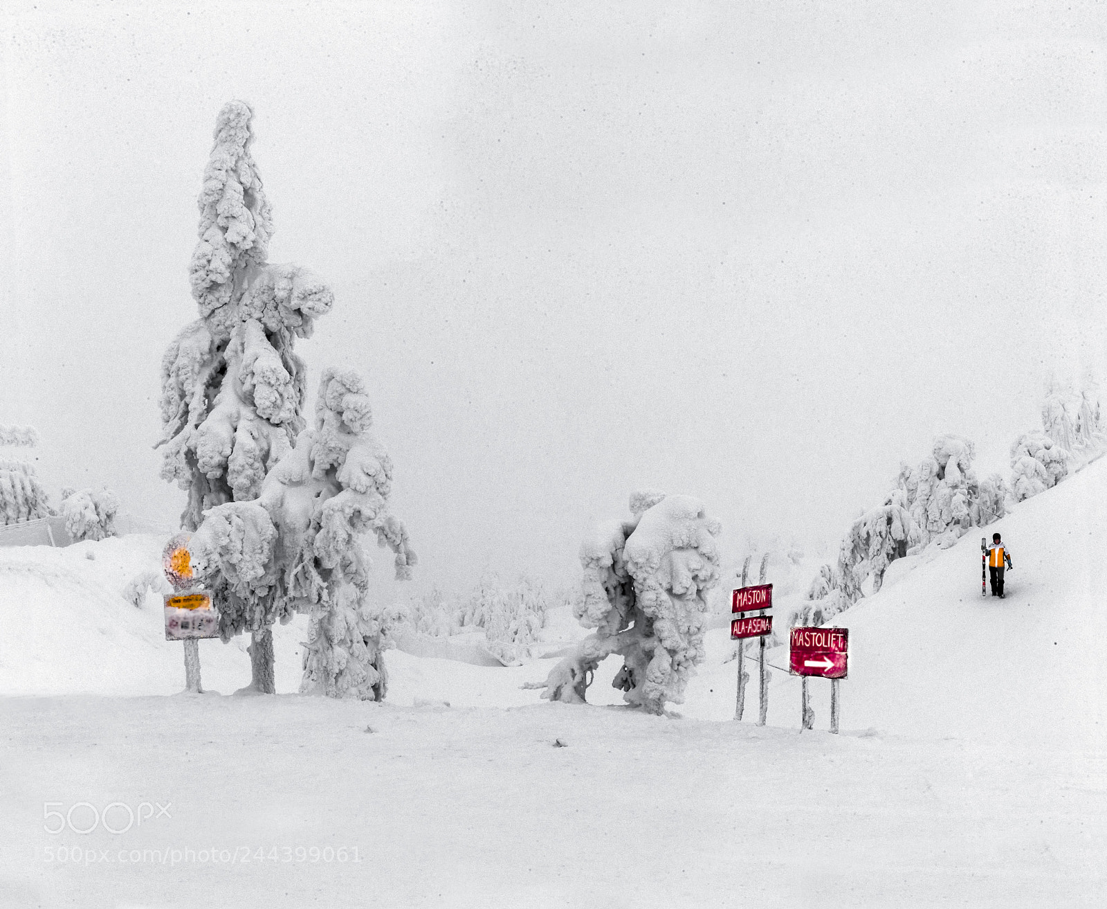 Canon EOS-1D X sample photo. Snowcloud bella vista with photography