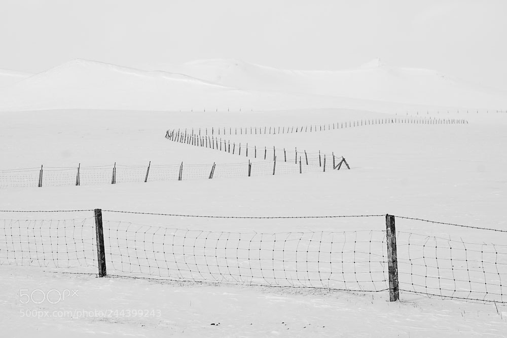 Sony a7 II sample photo. Untitled photography