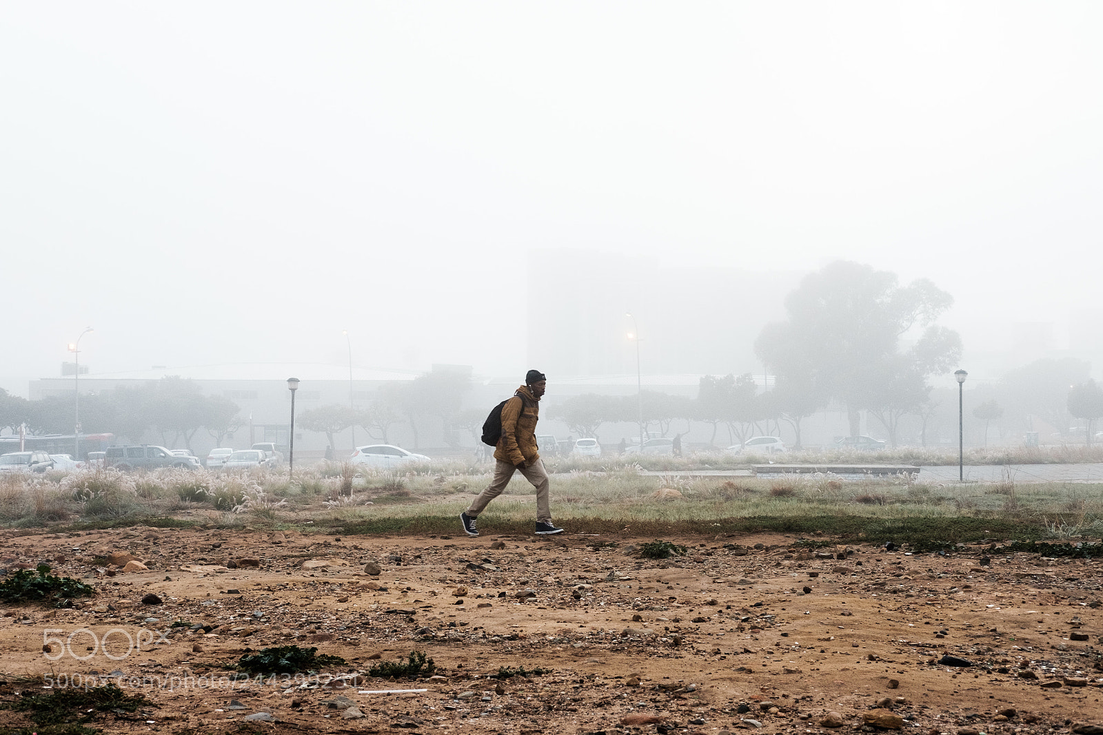 Fujifilm X-T10 sample photo. Morning walk photography