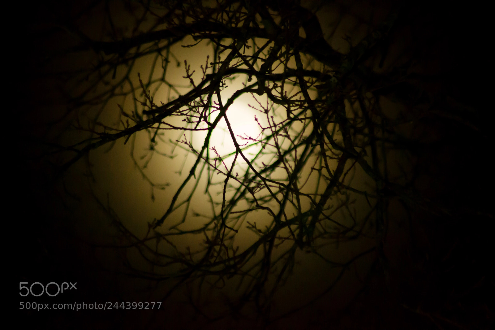 Nikon D3100 sample photo. Cloudy moon photography