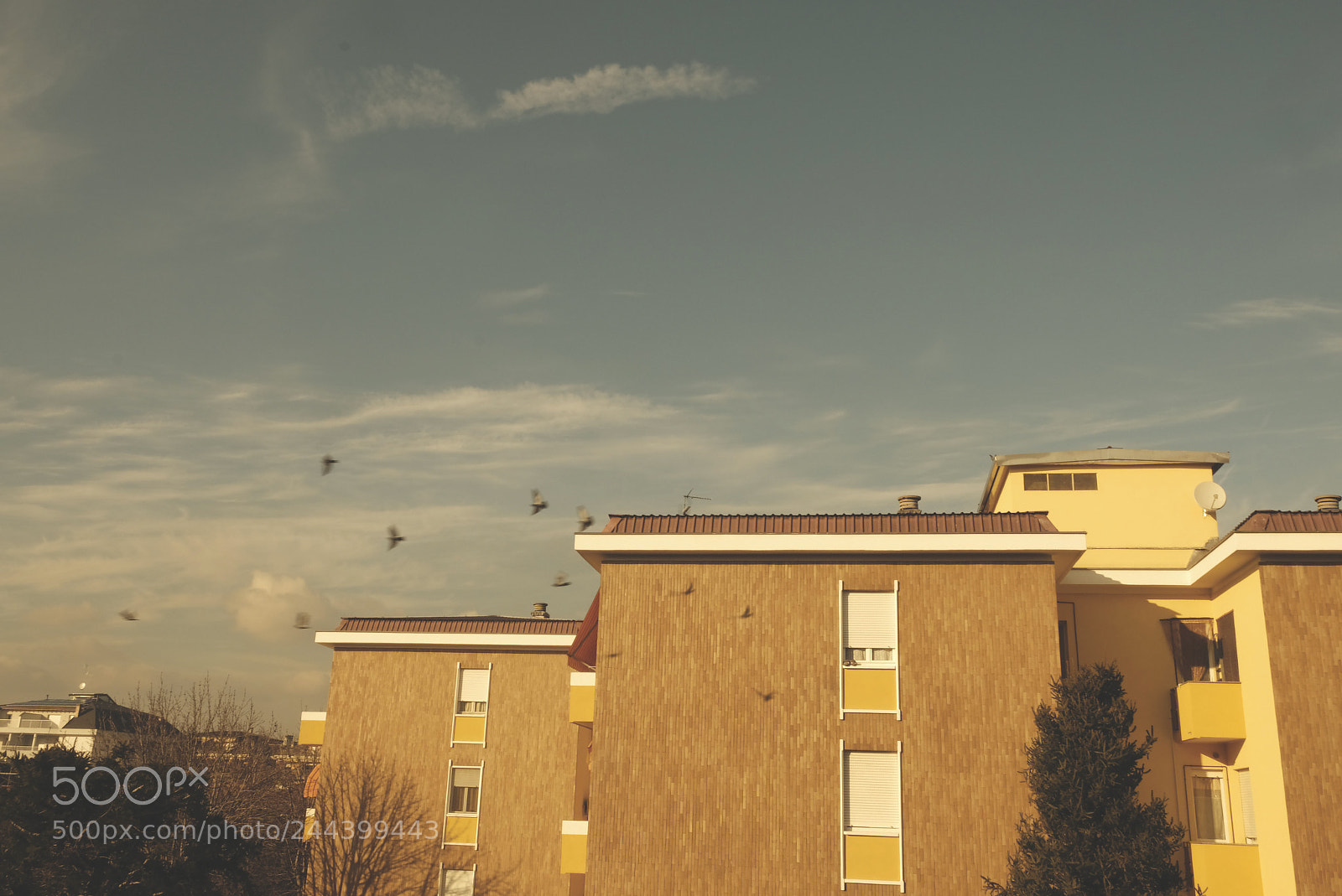 Fujifilm X-T20 sample photo. Home. photography