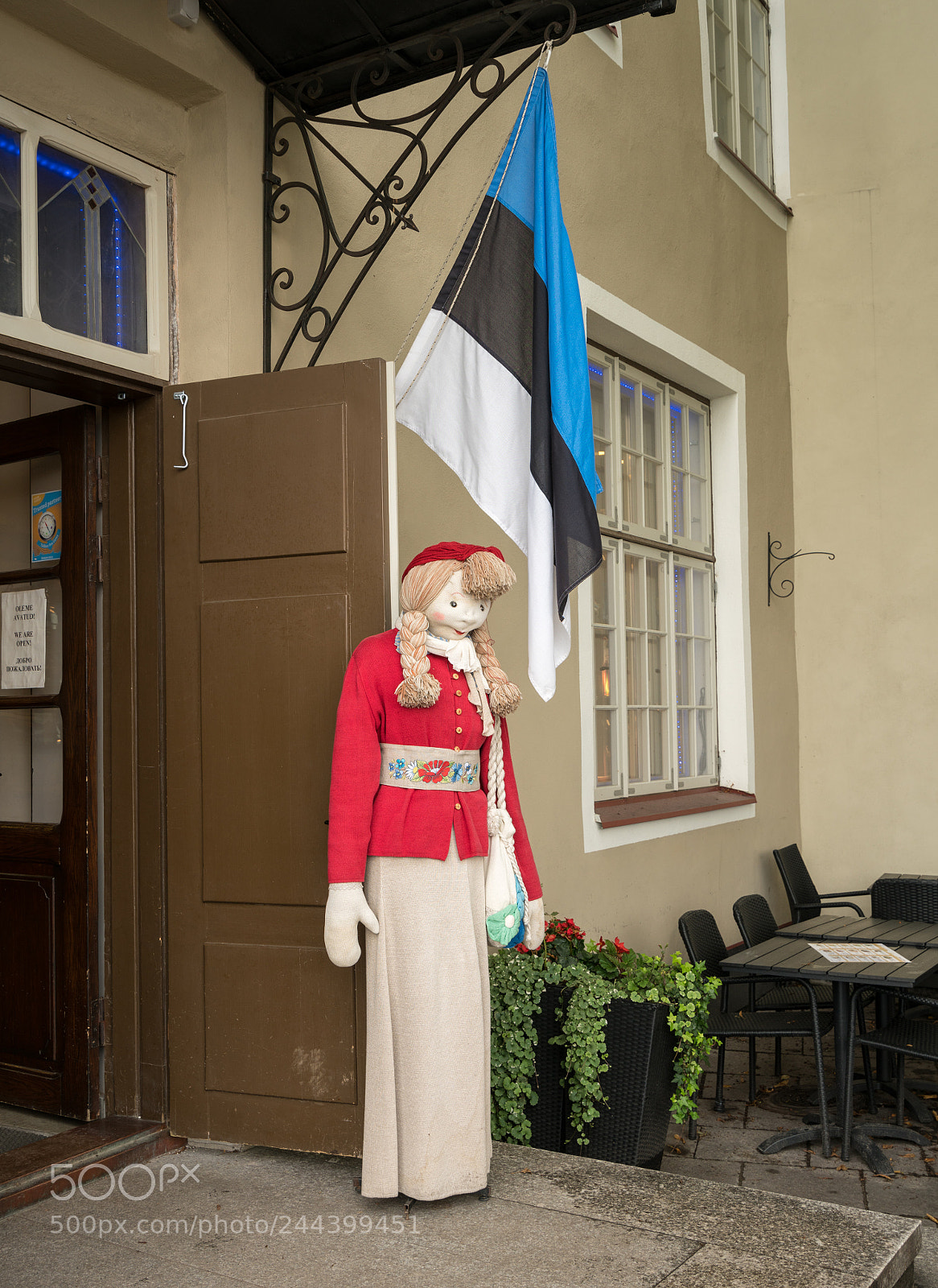 Sony a7R II sample photo. Stuffed doll in national photography