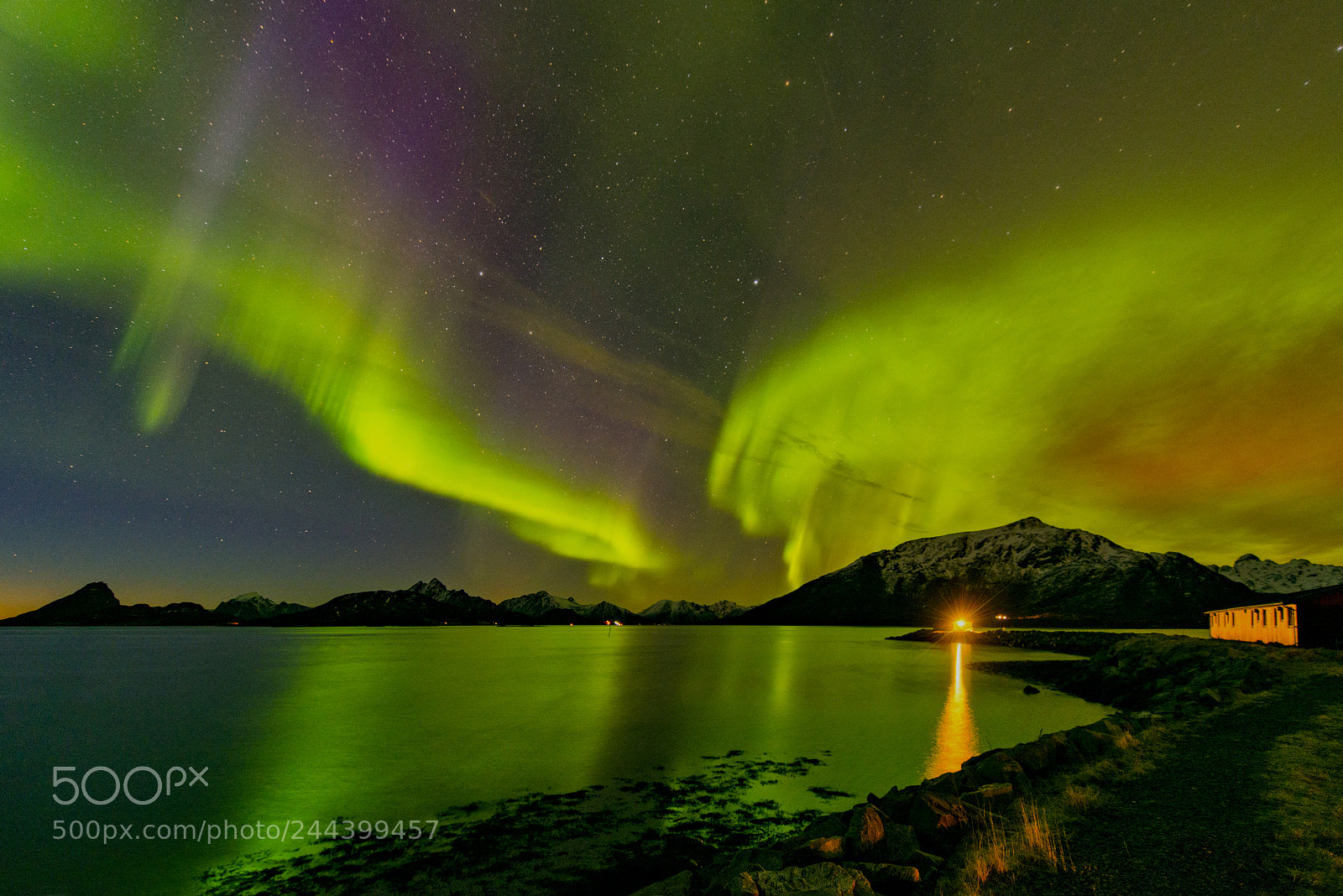 Nikon D800 sample photo. Aurora borelis at it photography
